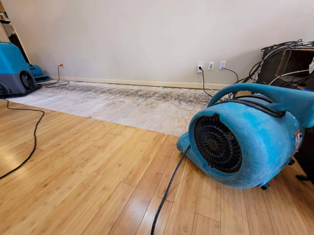 Professional Water Extraction technician working in Byron, MI